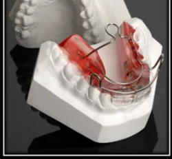 bionator 1